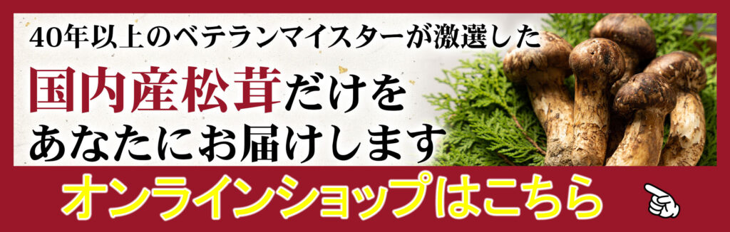 国内産まつたけ日本一卸問屋