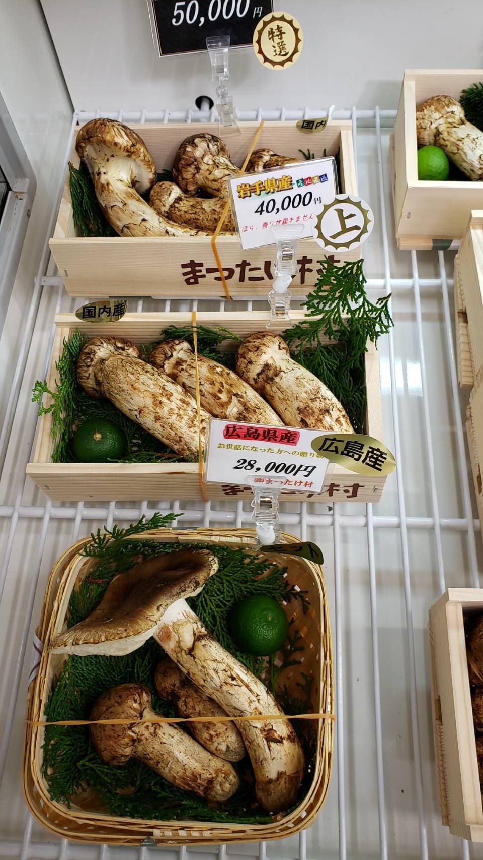広島県産 松茸 - 野菜